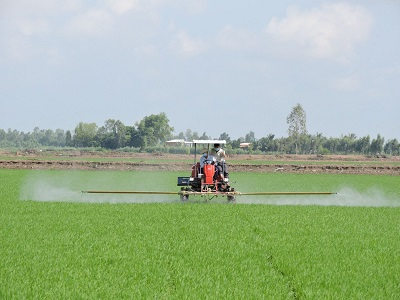 Đề án 1 triệu ha lúa chất lượng cao: Nâng cao giá trị, thu nhập của người dân (26/09/2022)